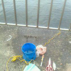 サバ～アジ～アジ～